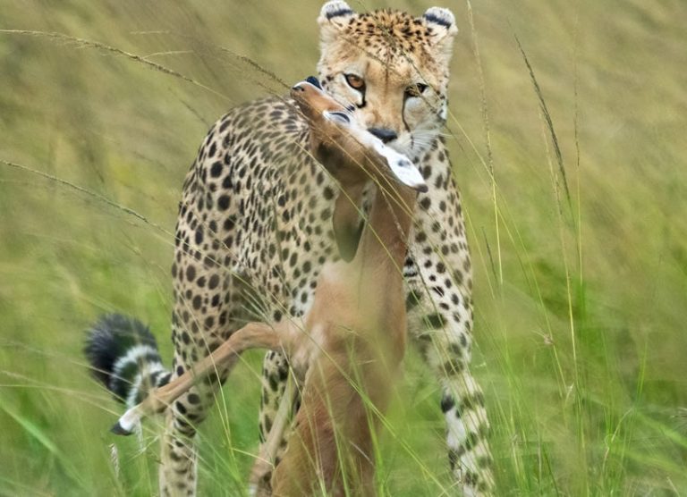 2 Days 1night Lake Nakuru_