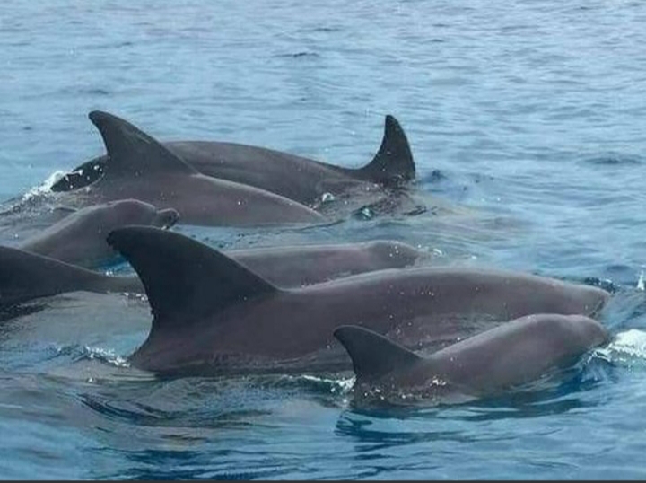 WhatsApp-Image-2022-12-21-at-20.25