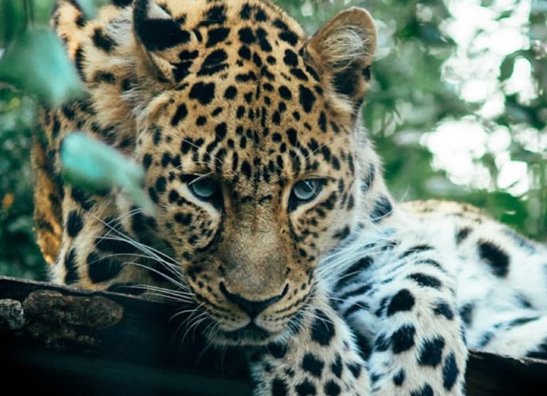 serengeti_national_park